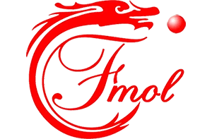 Changzhou Fmol Machinery Technology Co., Ltd